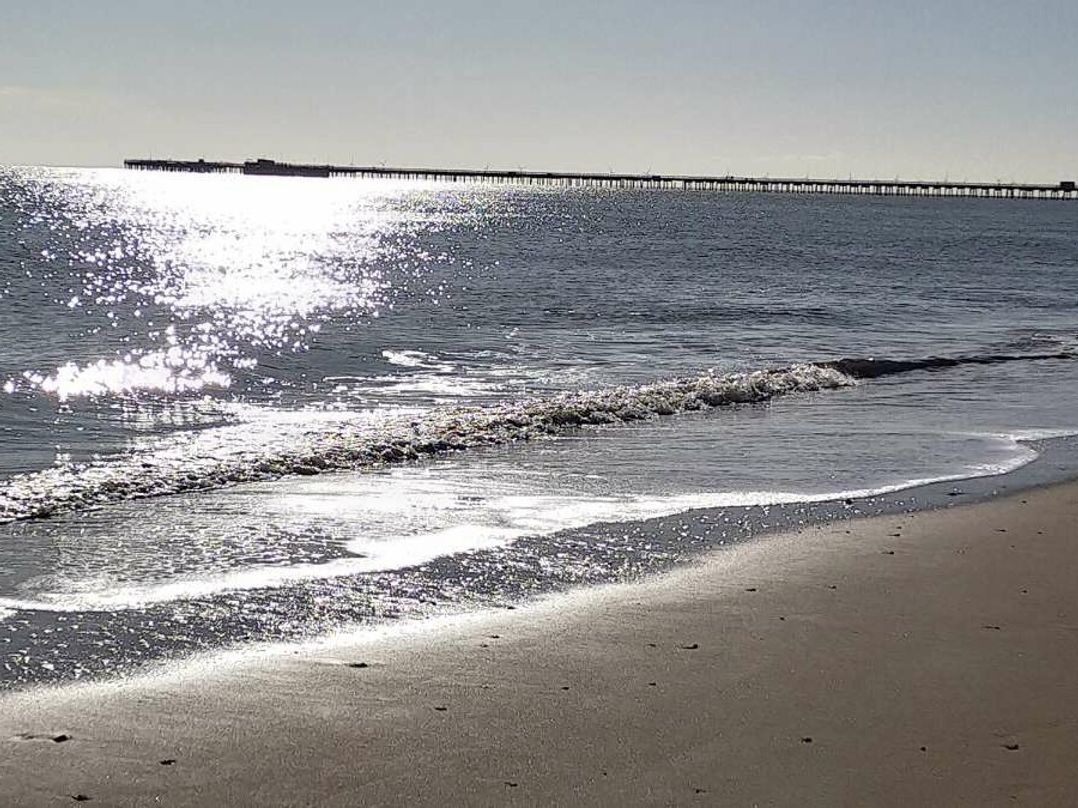 Naze Marine Holiday Park - Holiday Accommodation 22074