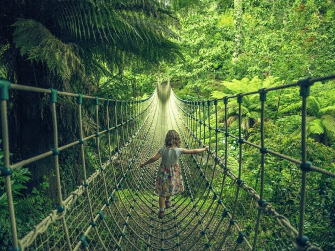 Par Sands Holiday Park - Holiday Accommodation 22094