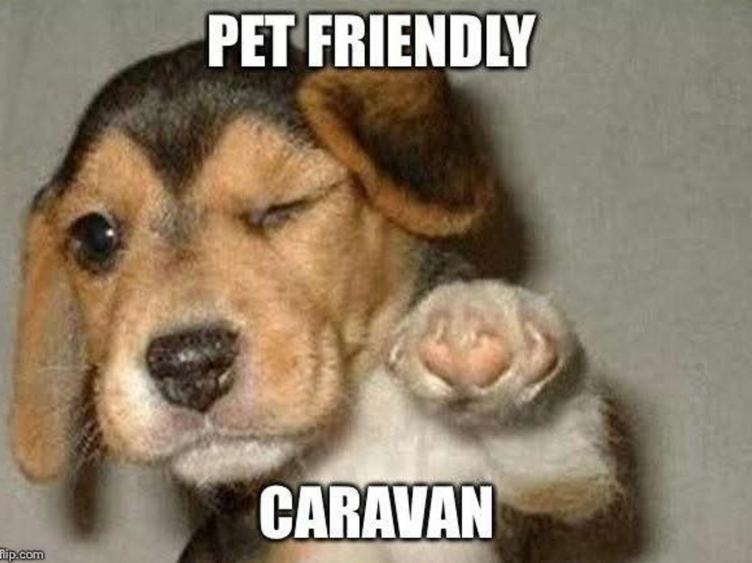 Sandfields Caravan Park - Holiday Accommodation 22126