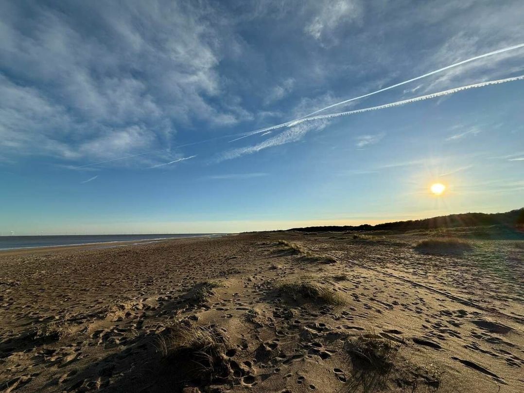 Golden Palm Resort - Holiday Accommodation 22164