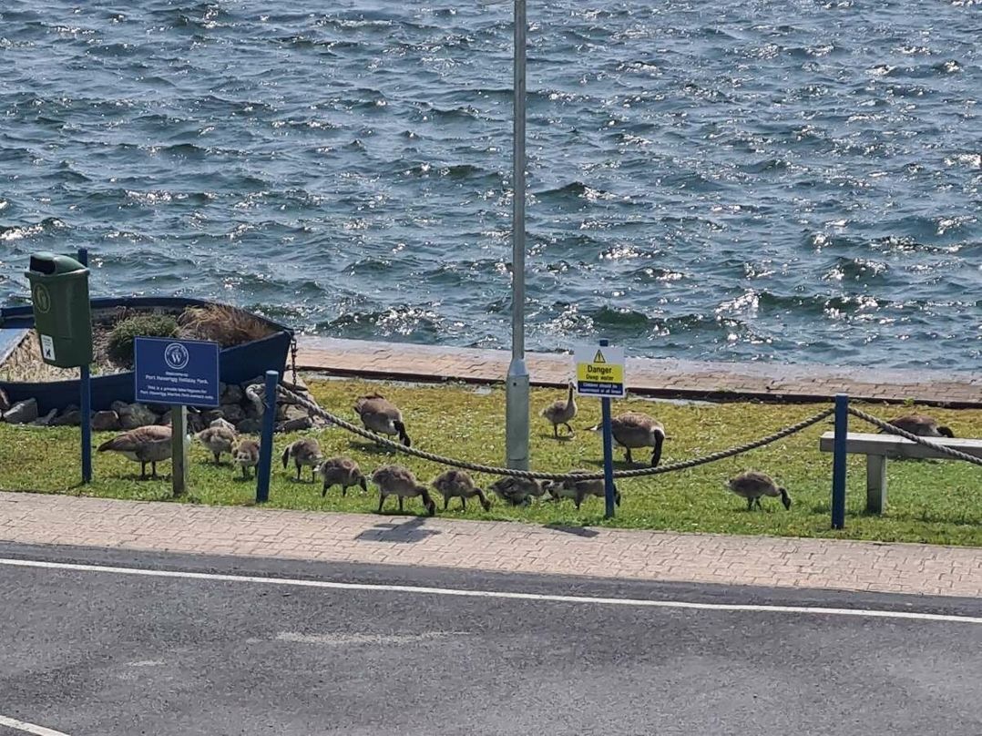 Port Haverigg Holiday Village - Holiday Accommodation 22232