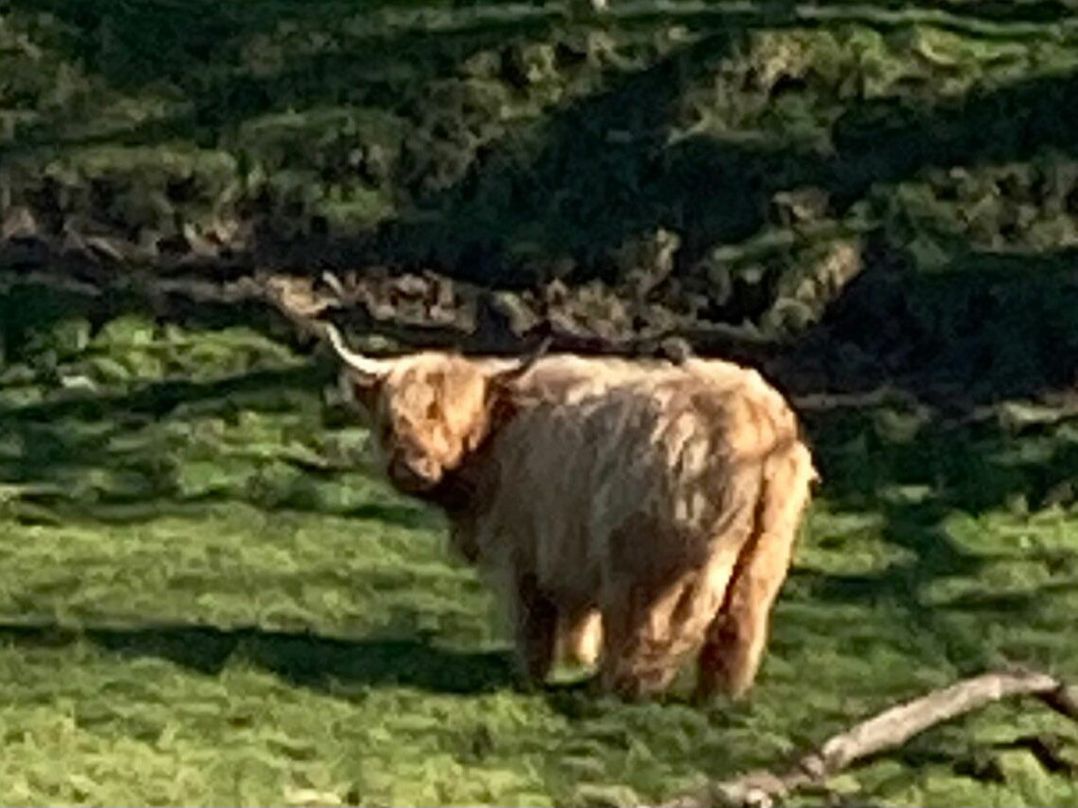 Fell Valley View (private land) - Holiday Accommodation 22240