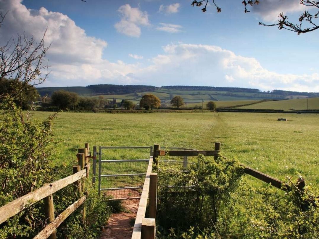 Hoburne Blue Anchor - Holiday Accommodation 2382