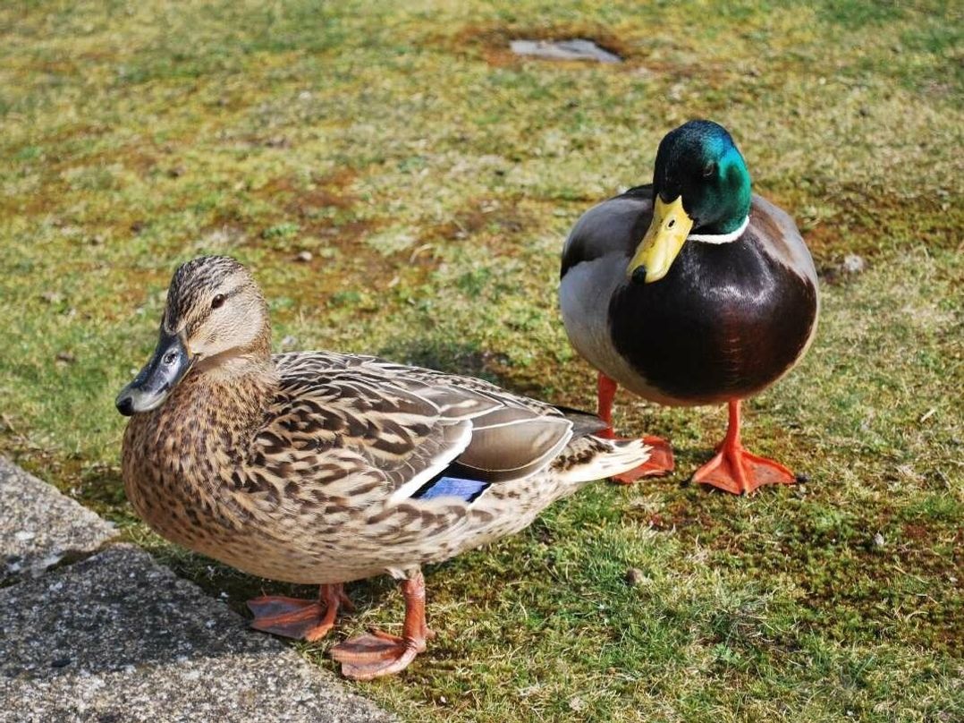 Greenacres Holiday Park - Holiday Accommodation 243