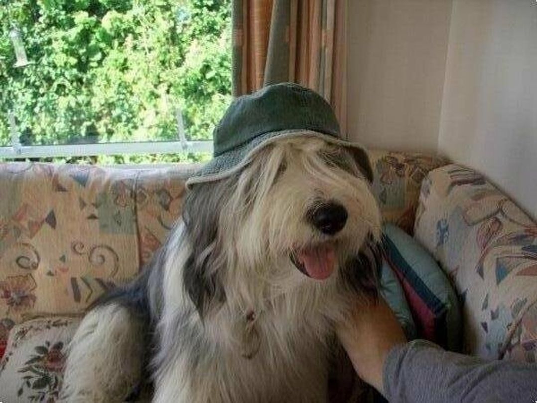 West Wayland Caravan Park - Holiday Accommodation 3255