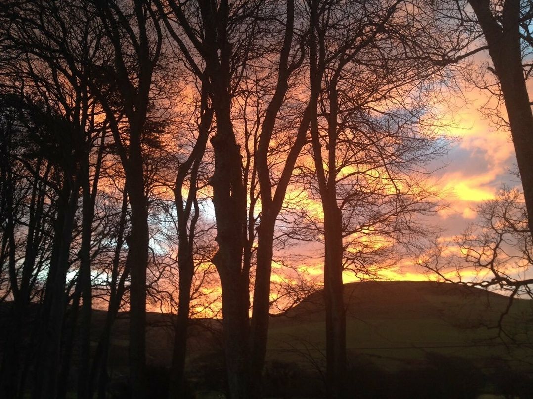 Woodlands Holiday Park - Holiday Accommodation 3535