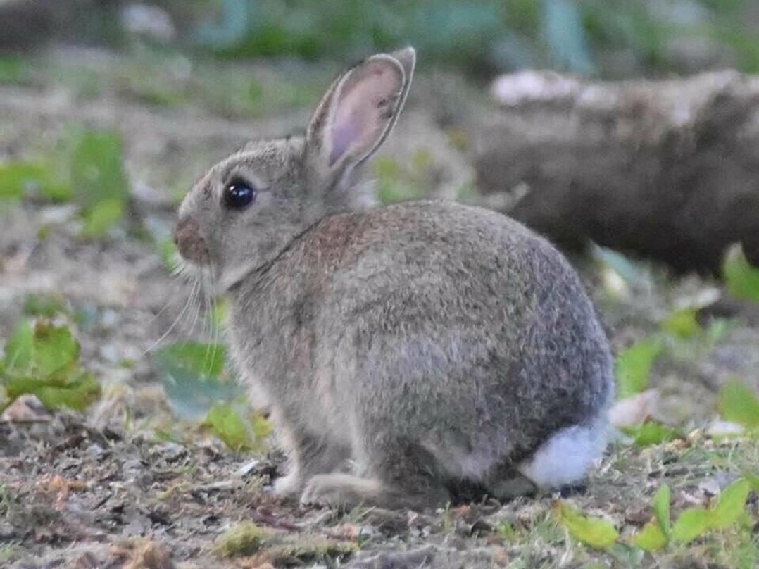 Black Beck Farm - Holiday Accommodation 460