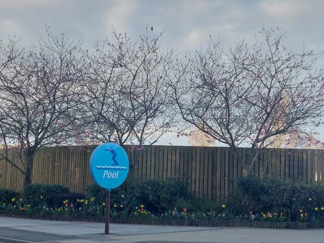 Kiln Park Holiday Park - Holiday Accommodation 4808