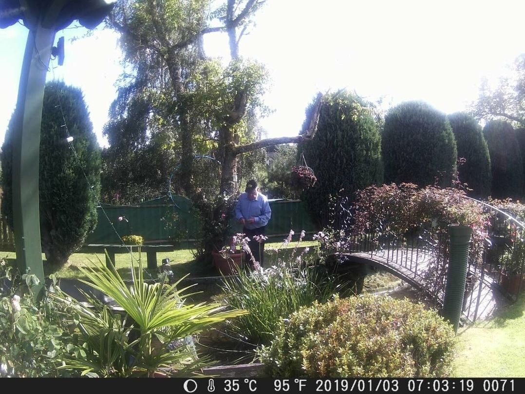 Munlochy (private land) - Holiday Accommodation 5037