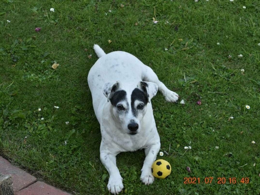 Munlochy (private land) - Holiday Accommodation 5037