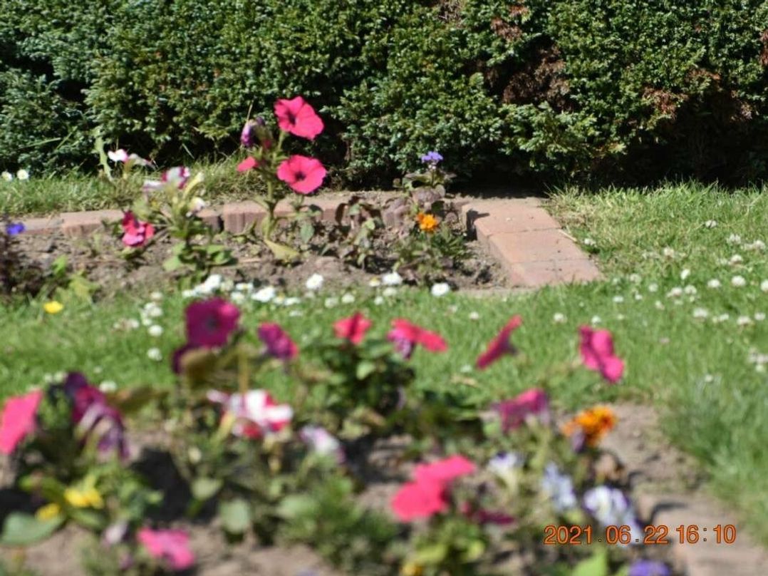 Munlochy (private land) - Holiday Accommodation 5037