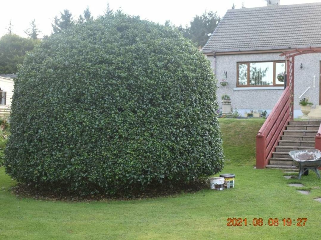 Munlochy (private land) - Holiday Accommodation 5037