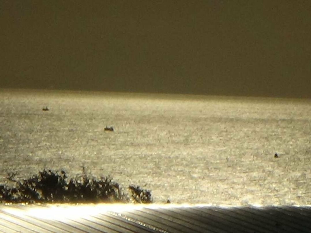 Devon Cliffs Holiday Park - Holiday Accommodation 5836