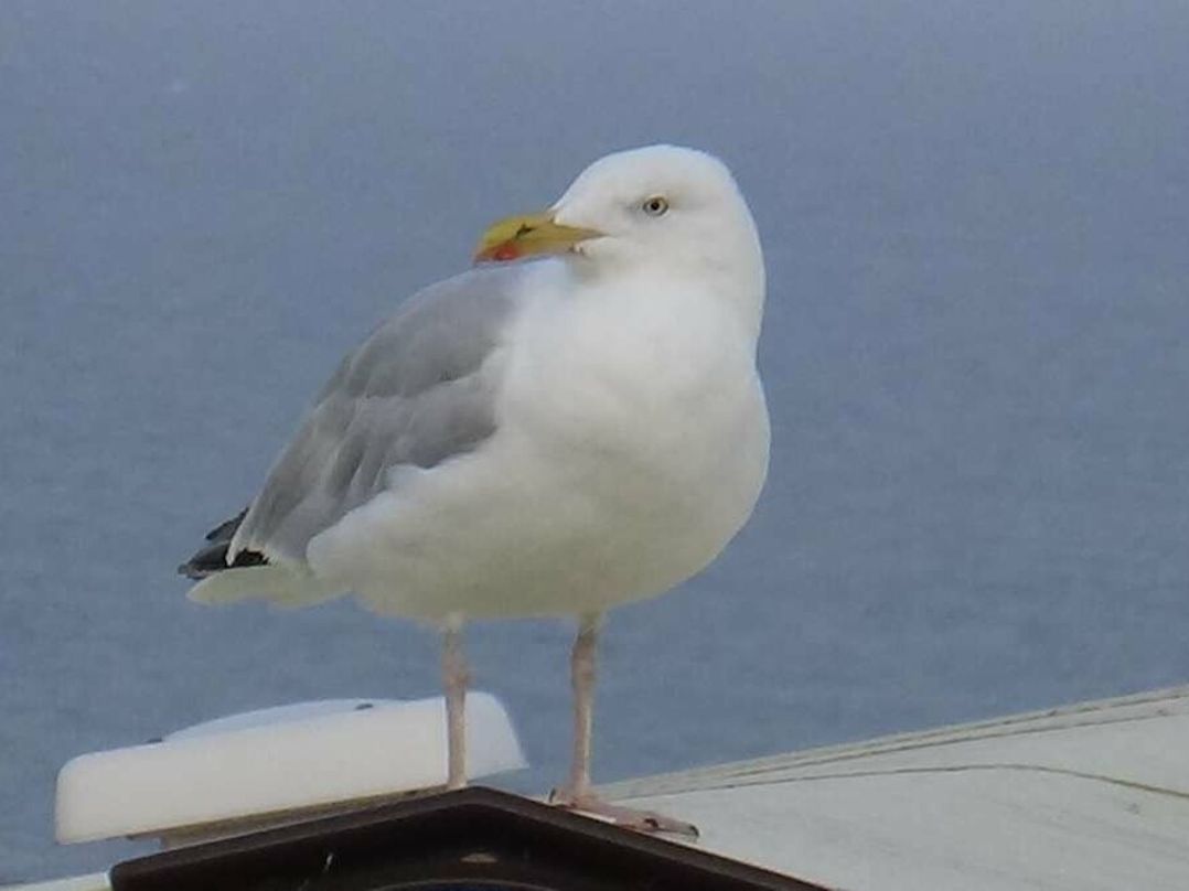 Devon Cliffs Holiday Park - Holiday Accommodation 5836