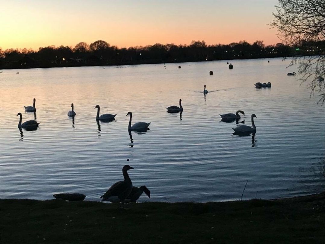 Tattershall Lakes Country Park - Holiday Accommodation 5852