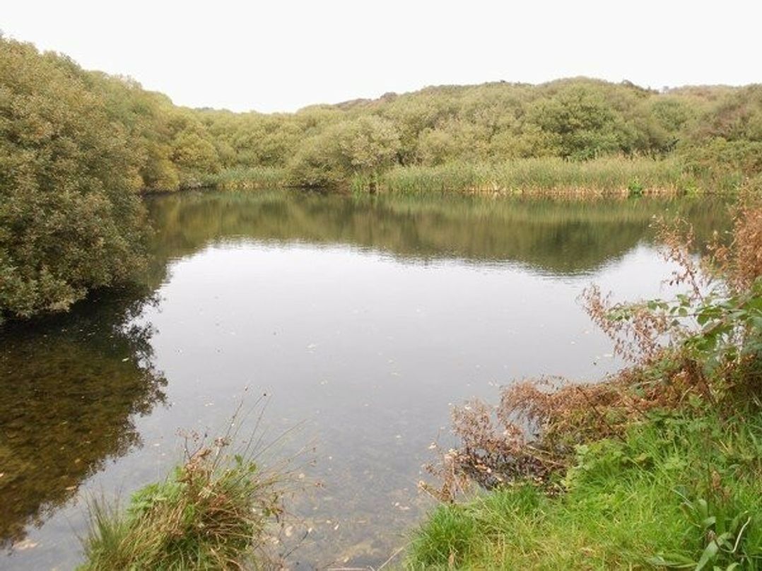 Nine Wells Caravan Park - Holiday Accommodation 5912