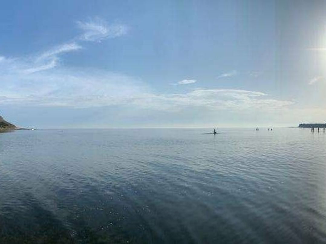 Swanage Bay View - Holiday Accommodation 5921