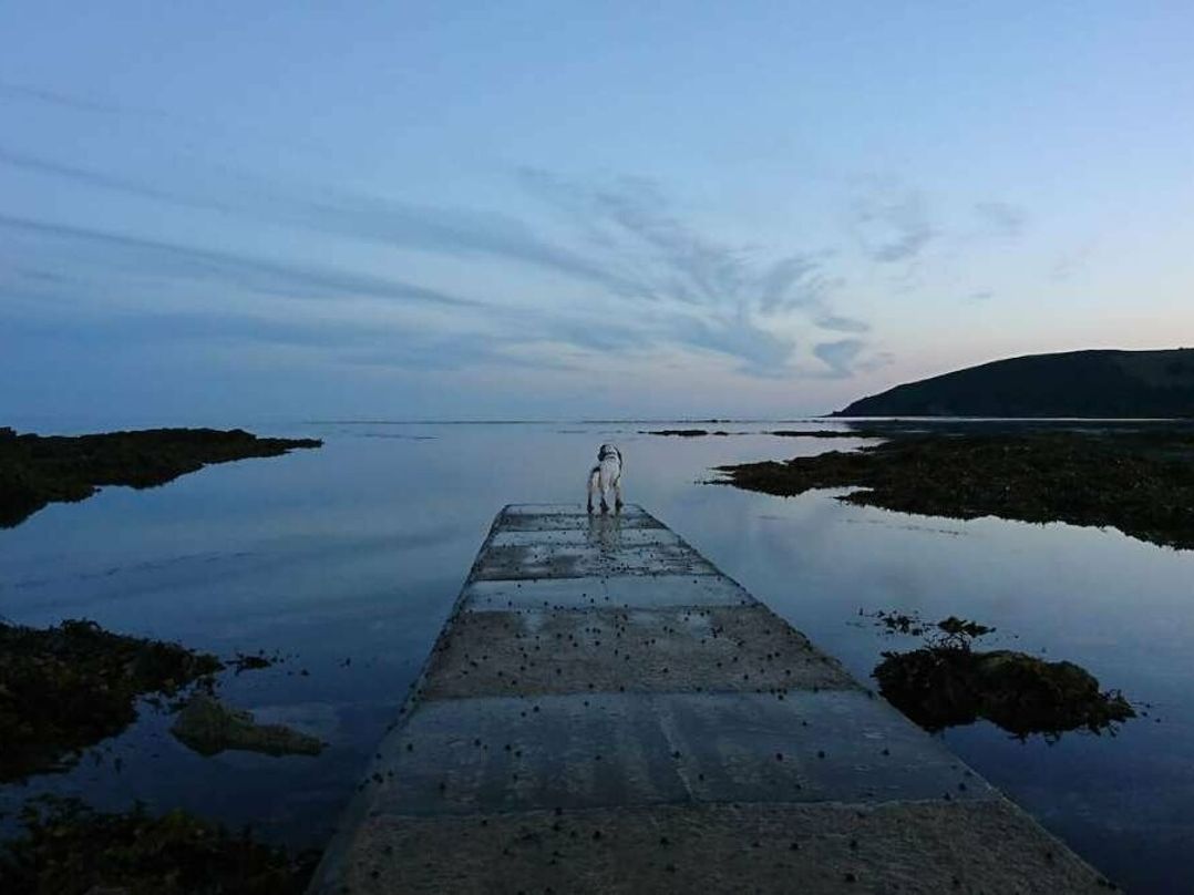 Looe Bay Holiday Park - Holiday Accommodation 5972