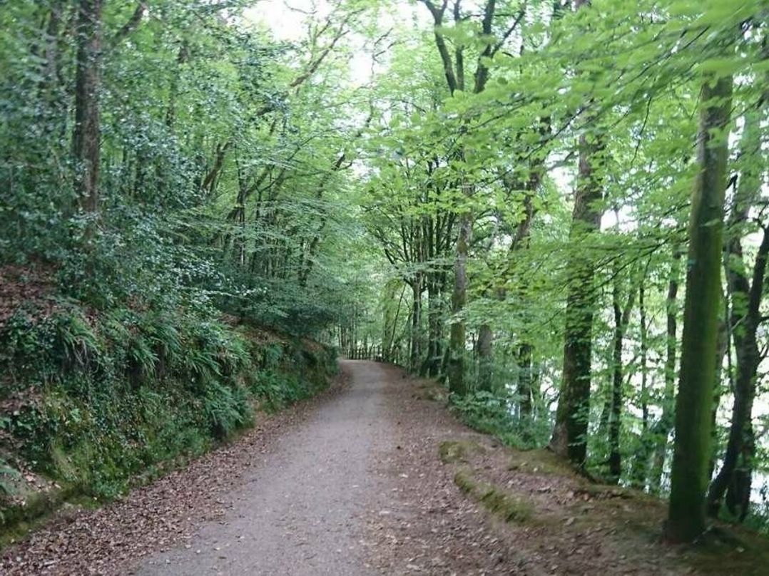 Looe Bay Holiday Park - Holiday Accommodation 5972