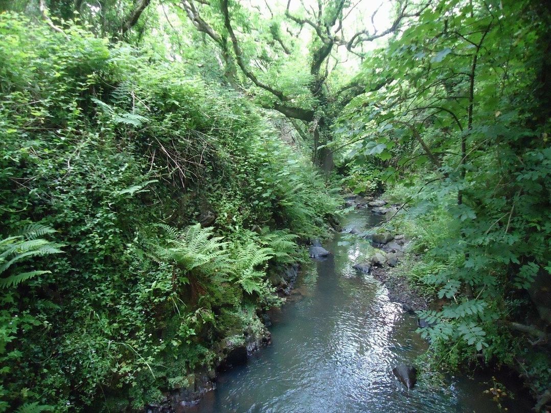 Widemouth Bay Caravan Park - Holiday Accommodation 6231