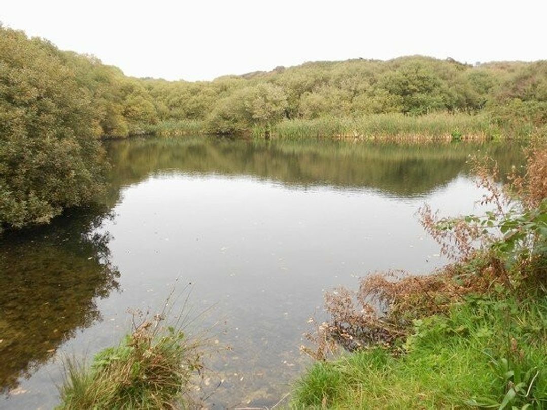 Nine Wells Caravan Park - Holiday Accommodation 6373