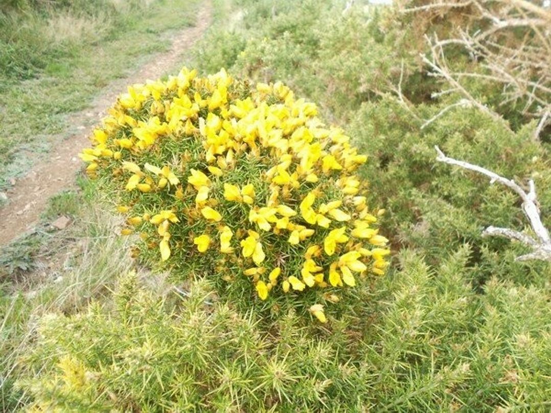 Nine Wells Caravan Park - Holiday Accommodation 6373