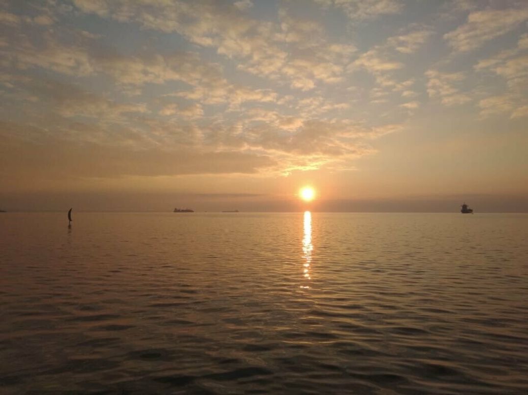 Oakdene Forest Park - Holiday Accommodation 6437