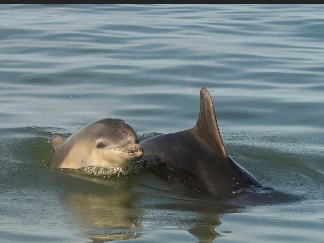 Quay West Holiday Park - Holiday Accommodation 7060