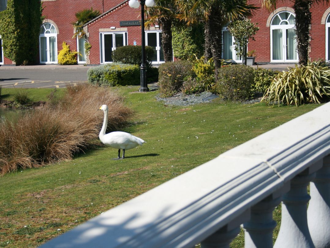 Southview Holiday Park 7251