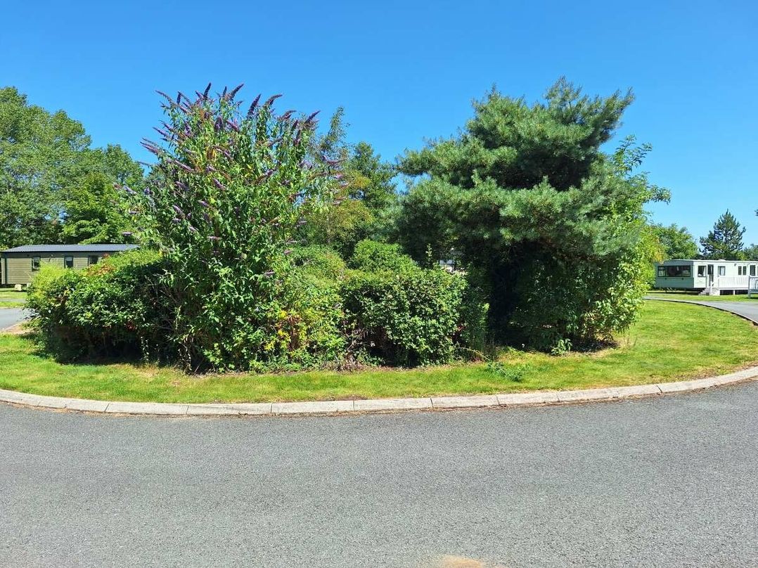 Hafan y Mor Haven - Holiday Accommodation 8421