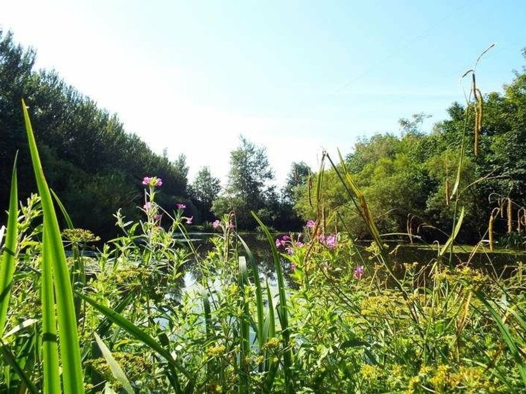 Borwick Lakes - Holiday Accommodation 8595