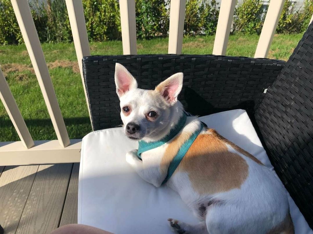 Reighton Sands Holiday Park - Holiday Accommodation 9333