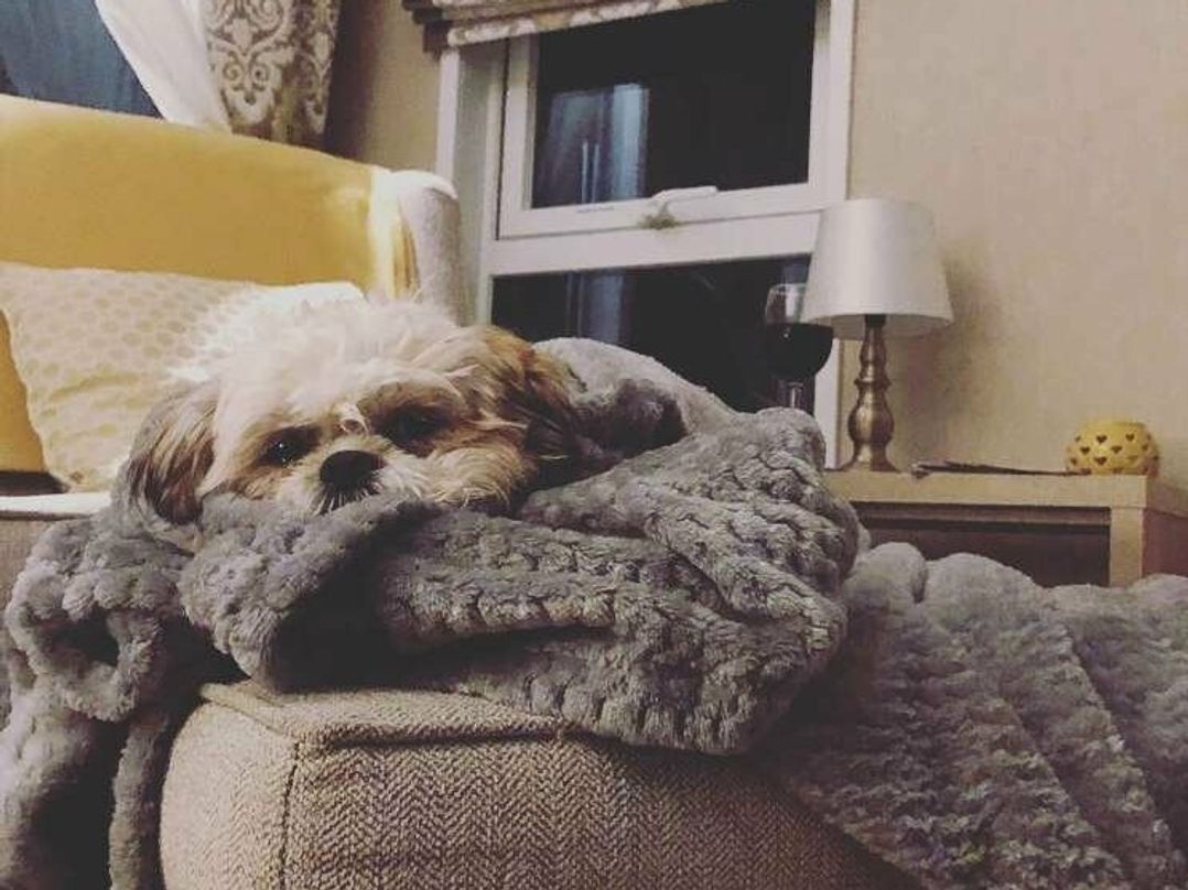 Bockenfield Country Park - Holiday Accommodation 9430