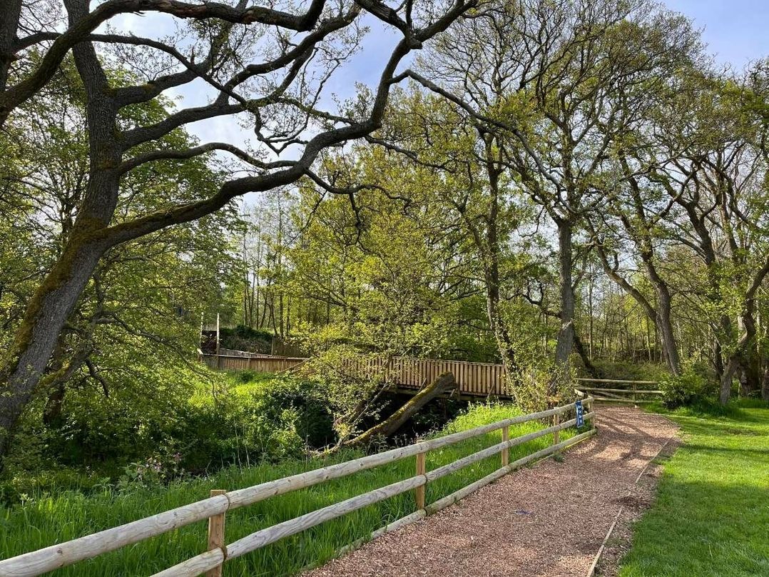 Bockenfield Country Park - Holiday Accommodation 9430