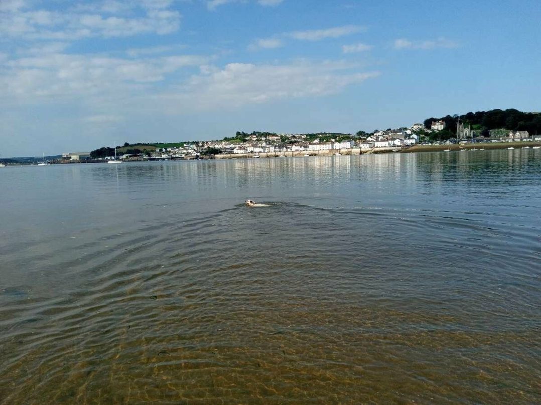 Smytham Holiday Park - Holiday Accommodation 9561