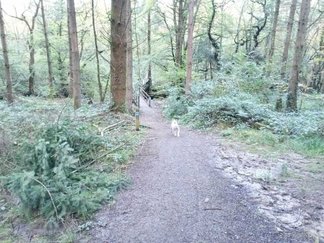 Smytham Holiday Park - Holiday Accommodation 9561