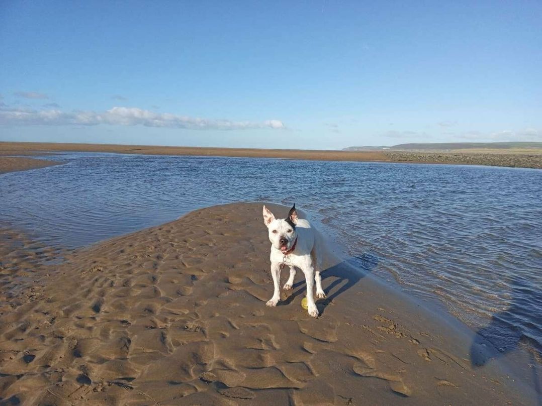 Smytham Holiday Park - Holiday Accommodation 9561