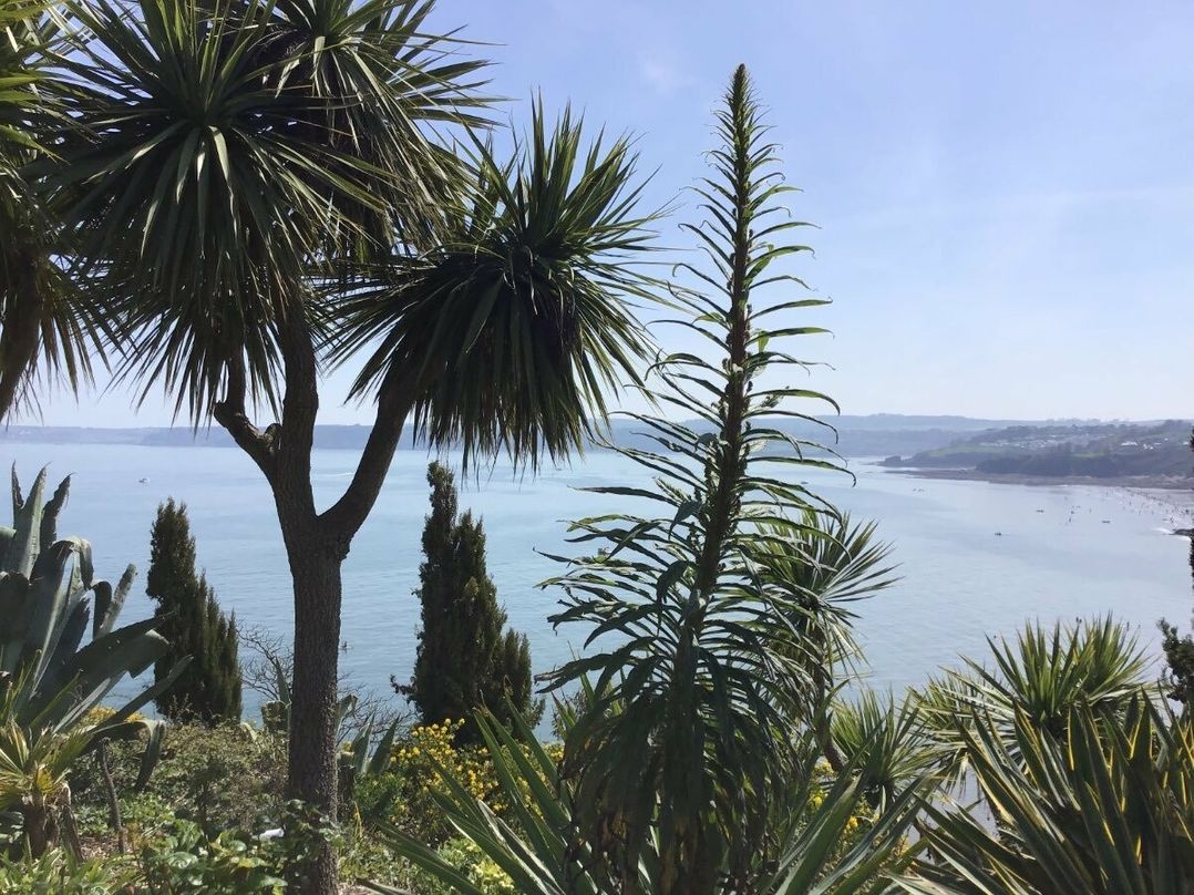 Hoburne Devon Bay - Holiday Accommodation 9602