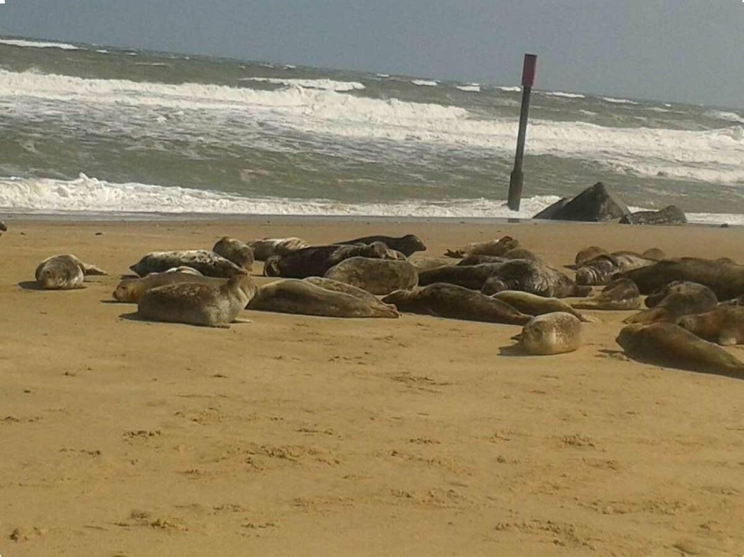 Green Farm Caravan Park - Holiday Accommodation 9807