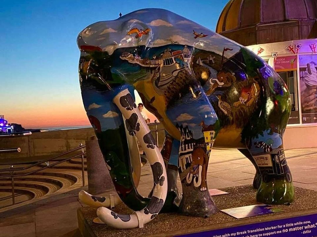 Kelling Heath Holiday Park - Holiday Accommodation 9836