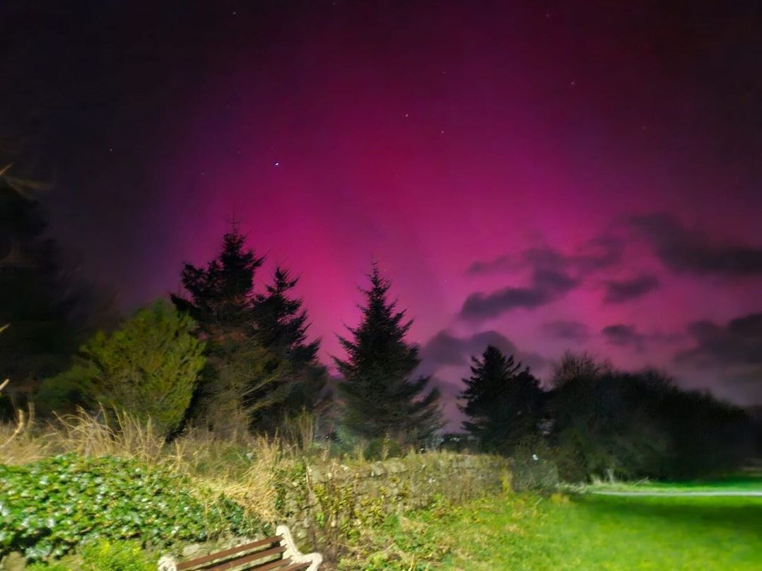 Berwick Holiday Park - Holiday Accommodation 9954