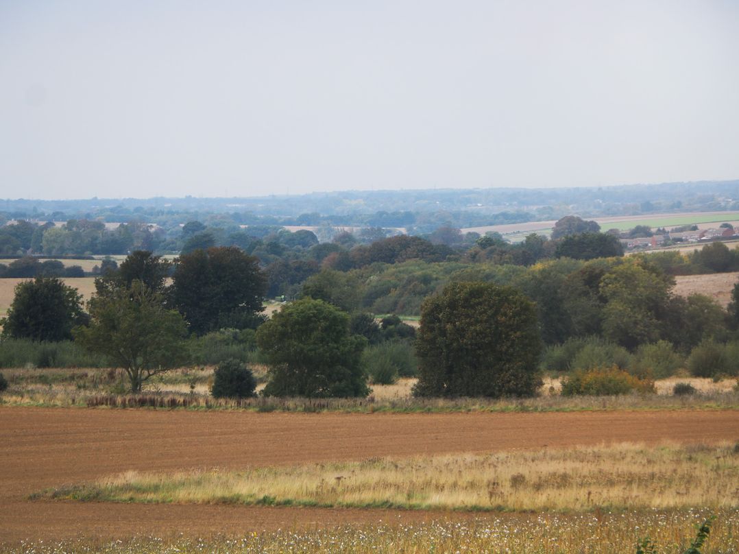 Walmer Court Farmhouse