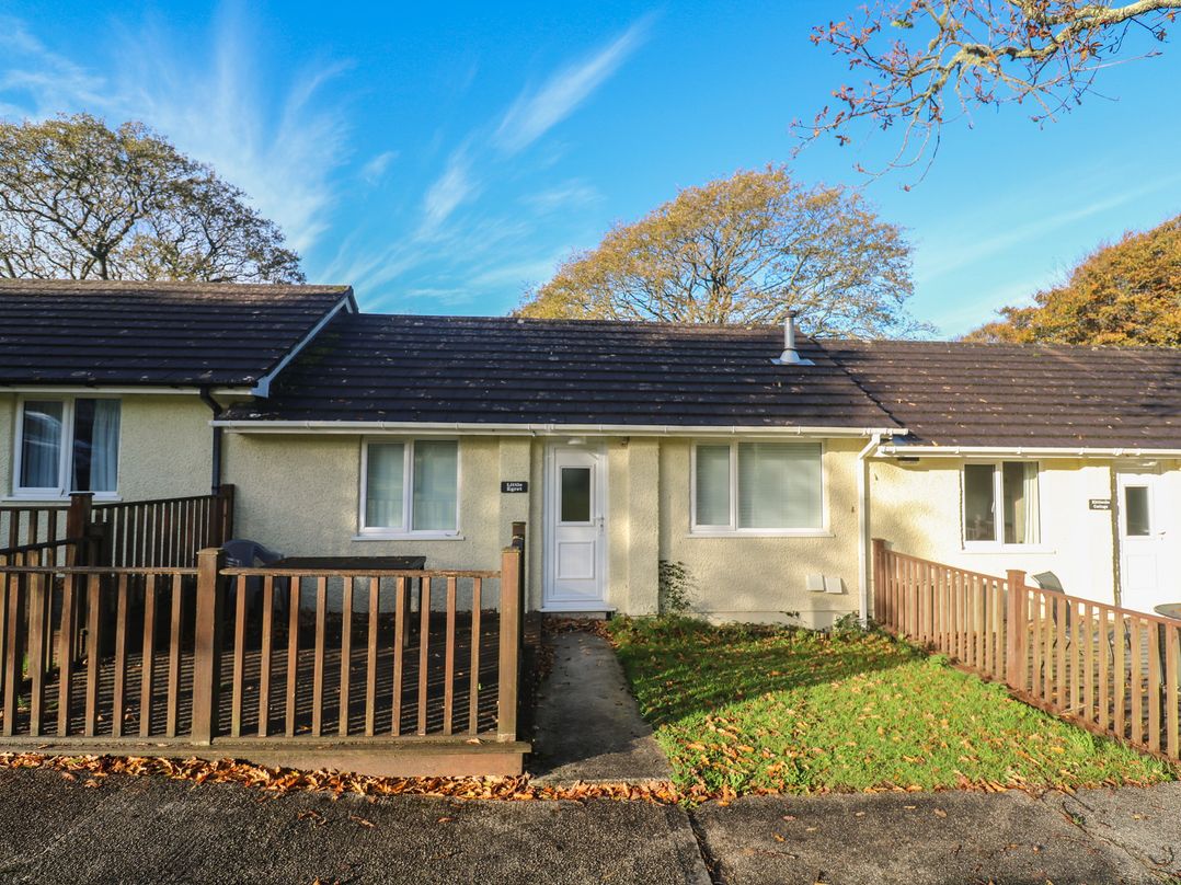 Little Egret - Number 2