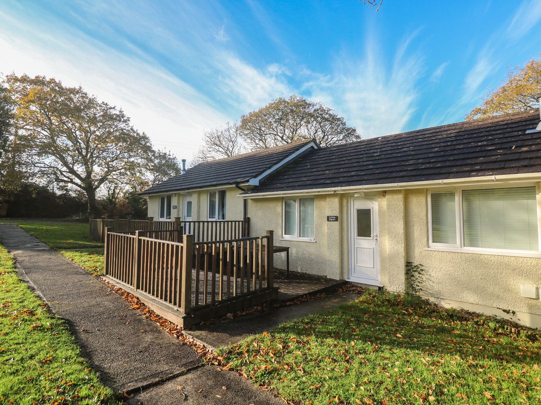 Little Egret - Number 2
