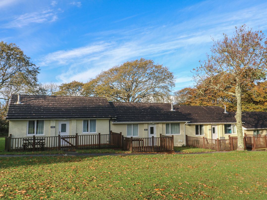 Little Egret - Number 2