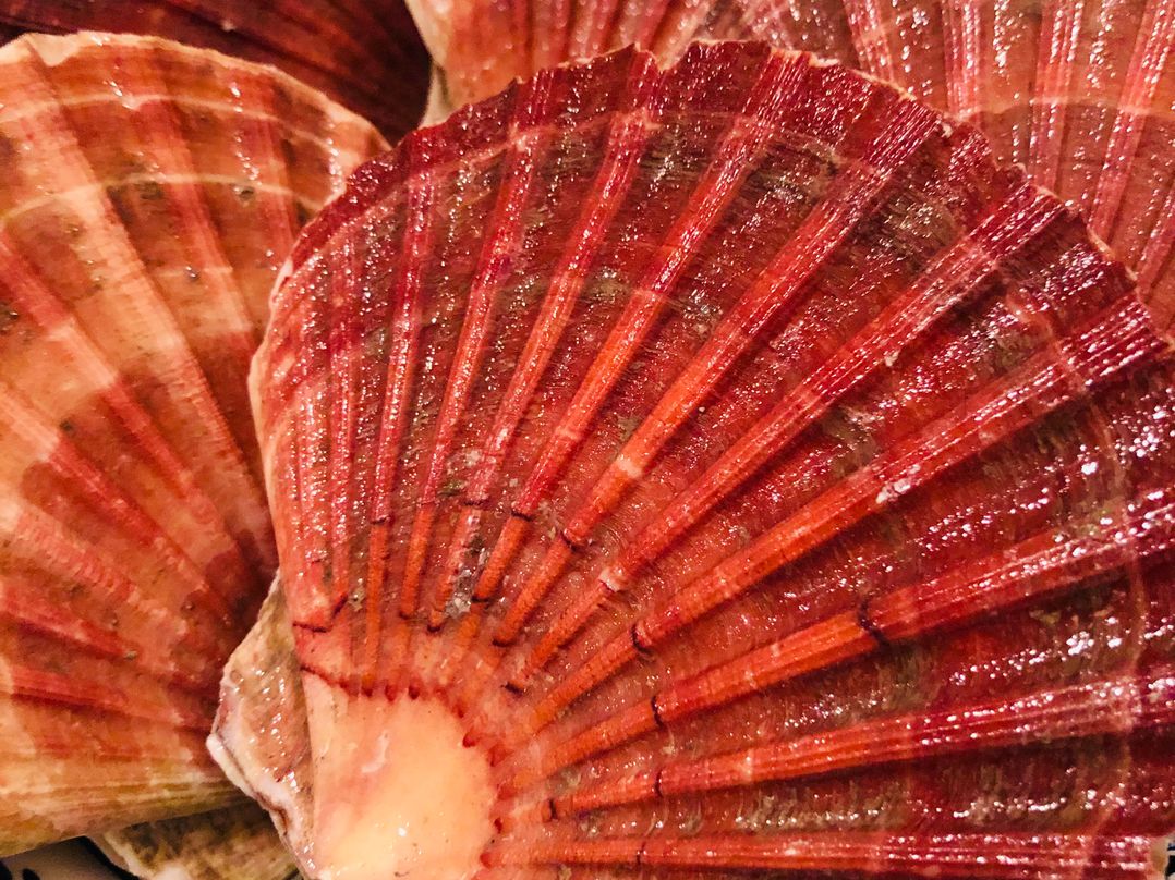 Kirkapol Beach Pod - Flow