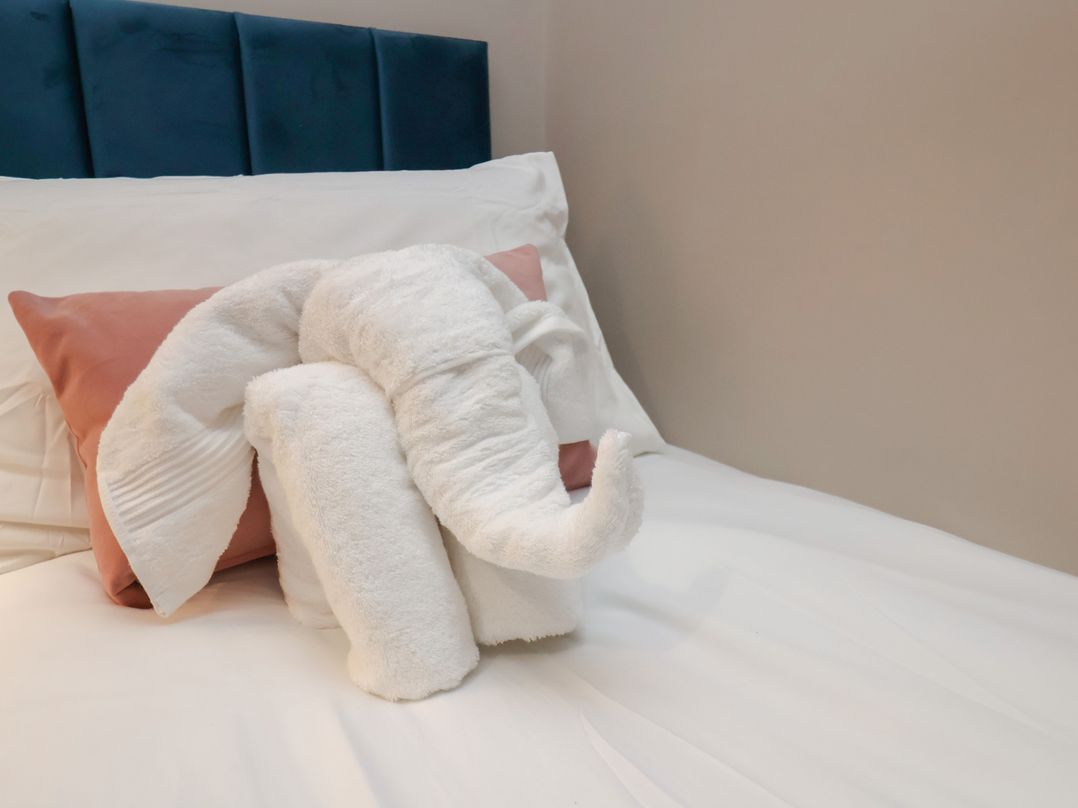 Apartment 2, Blackburn Heights