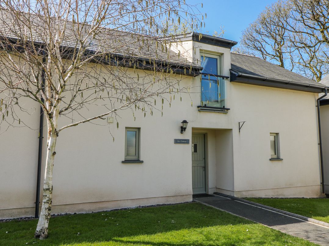 Dog friendly holiday cottage in Llanrhidian, sleeps 4