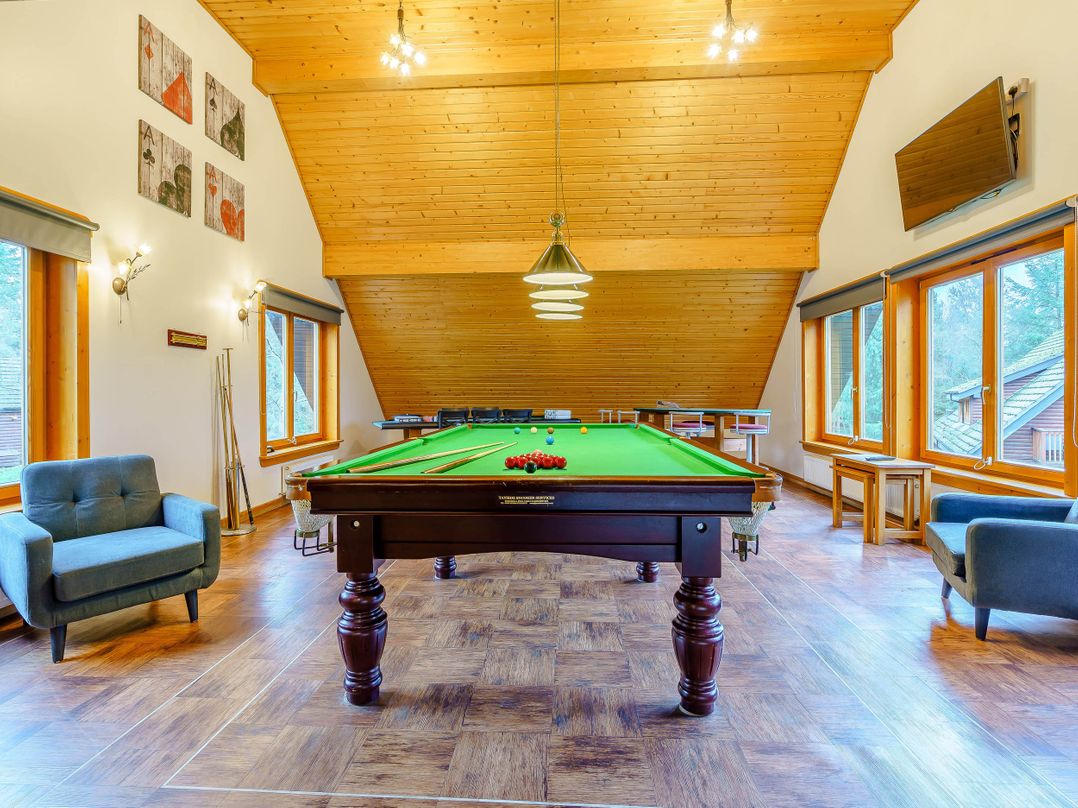 The Braveheart (Pet)