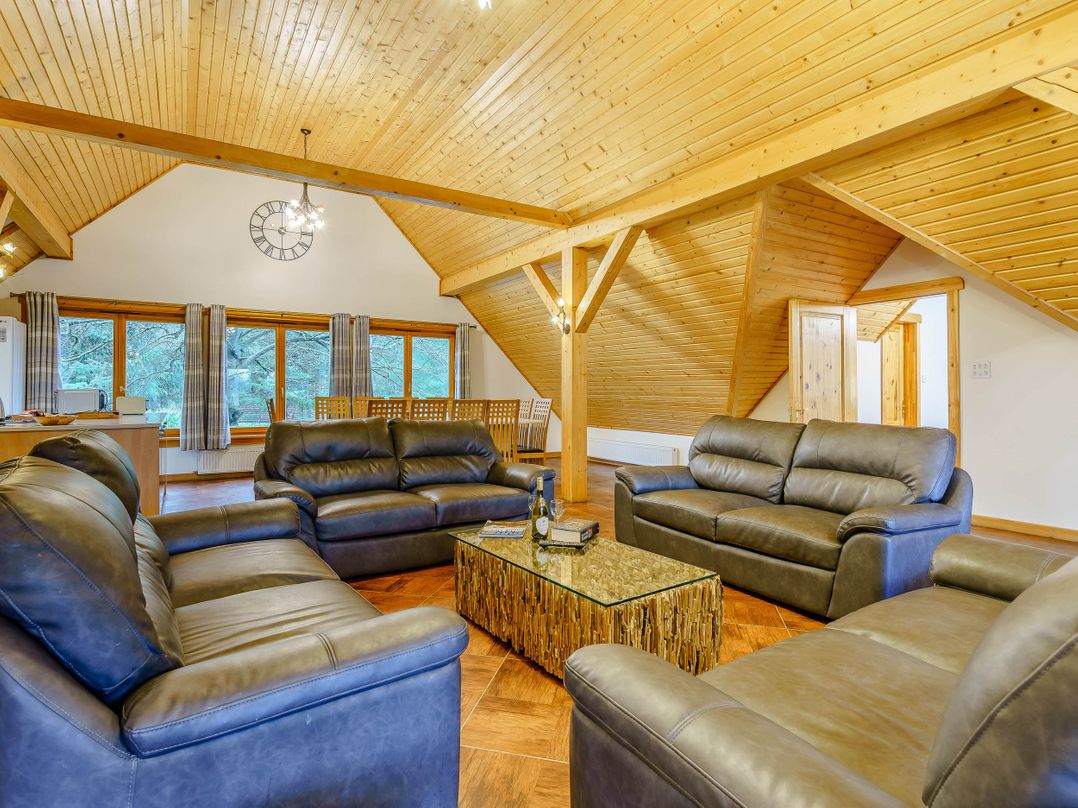 The Braveheart (Pet)